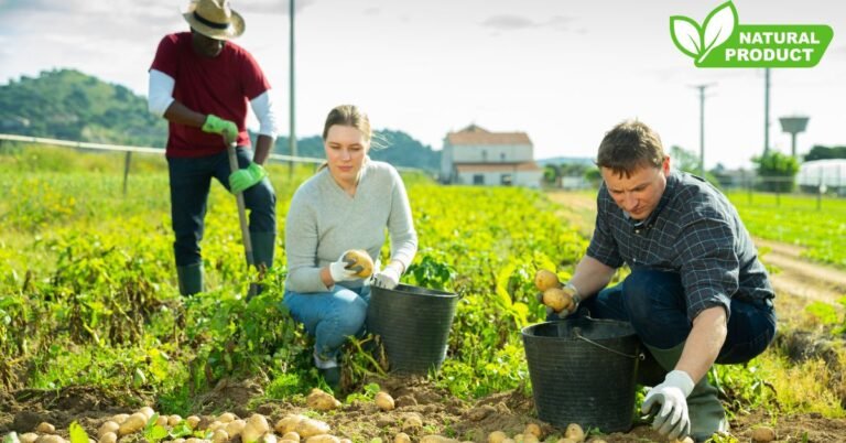 Farm Worker Jobs in Canada