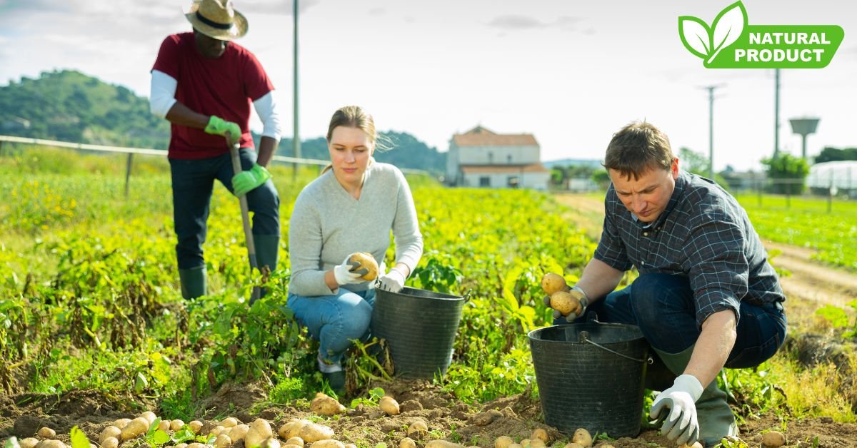 Farm Worker Jobs in Canada